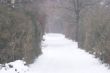 DSC04624.JPG