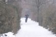 DSC04628.JPG
