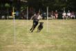 DSC06246.JPG