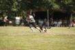 DSC06253.JPG