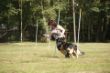 DSC06254.JPG