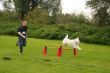 DSC07087.JPG