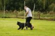 DSC07116.JPG