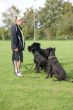 DSC07132.JPG