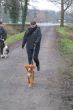 DSC07524.JPG