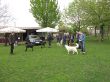 IMG_0526.JPG