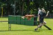 120701TW0858.jpg