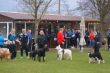 DSC08874.JPG