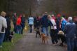 DSC08881.JPG