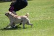 IMG_4149.JPG
