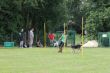 IMG_2283.JPG