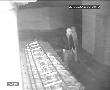 vlcsnap-2016-04-04-11h38m42s246.png