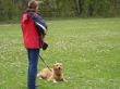 DSC01975.JPG