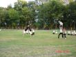 DSC05068.JPG