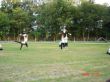DSC05071.JPG