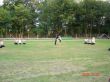 DSC05072.JPG