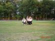 DSC05102.JPG