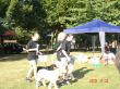 DSC05163.JPG