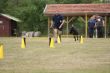 DSC02073.JPG