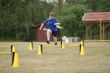DSC02080.JPG