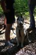 DSC02301.JPG
