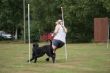 DSC02395.JPG