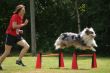 DSC02449.JPG