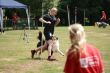 DSC02454.JPG