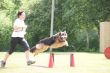 DSC02483.JPG