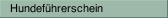 Hundeführerschein