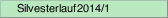 Silvesterlauf 2014/1