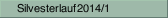 Silvesterlauf 2014/1
