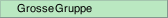 Grosse Gruppe