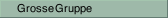 Grosse Gruppe